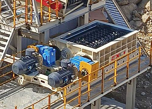 Raw Coal Mineral Sizer For Coal Preparation Plant