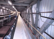 Belt Conveyors for Bulk Materials