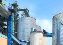 Chain Bucket Elevator