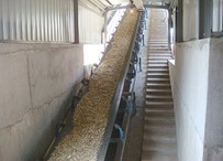Wood Chip Belt Conveyor